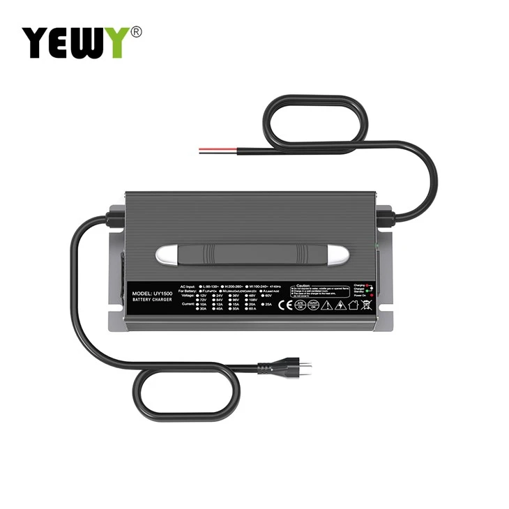 Caricabatteria intelligente Lifepo4 da 60 V